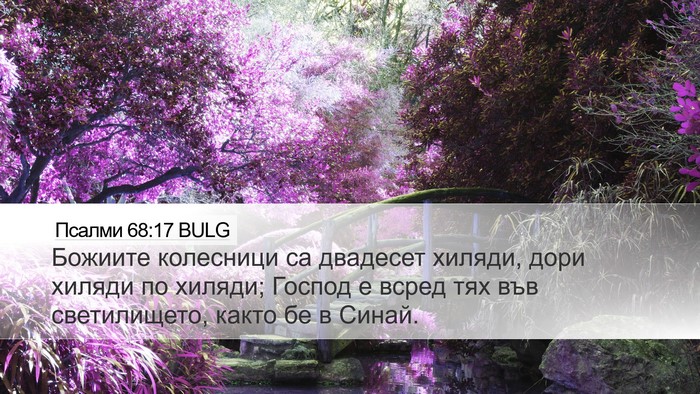 Псалми 68:17 BULG Bible Verse Image