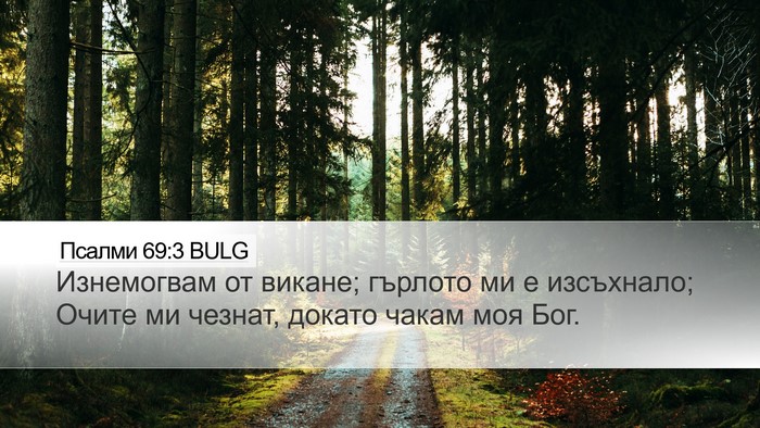 Псалми 69:3 BULG Desktop Wallpaper - Изнемогвам от викане; - Desktop Bible Verse Wallpaper