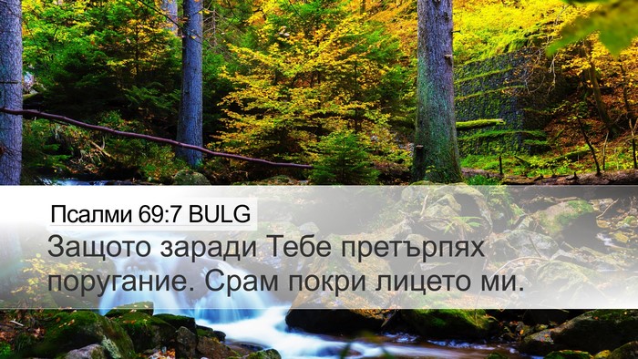 Псалми 69:7 BULG Desktop Wallpaper - Защото заради Тебе - Desktop Bible Verse Wallpaper