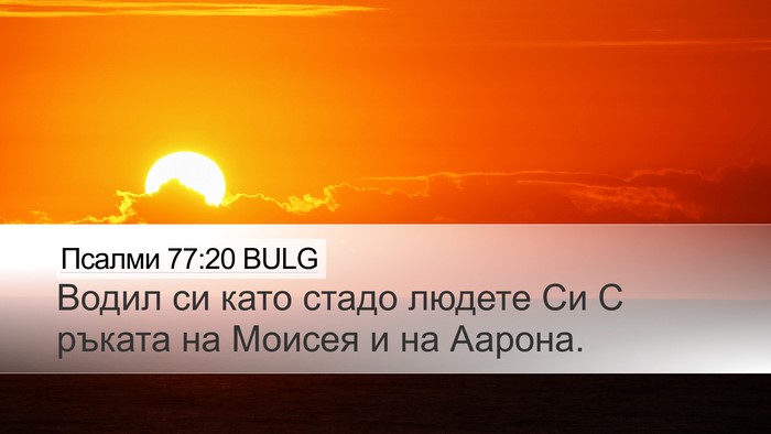 Псалми 77:20 BULG Bible Verse Image