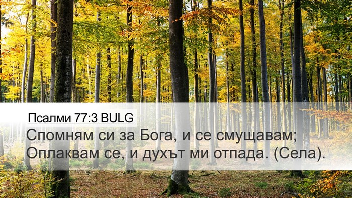 Псалми 77:3 BULG Bible Verse Image