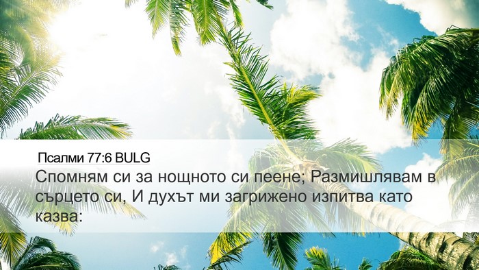 Псалми 77:6 BULG Bible Verse Image