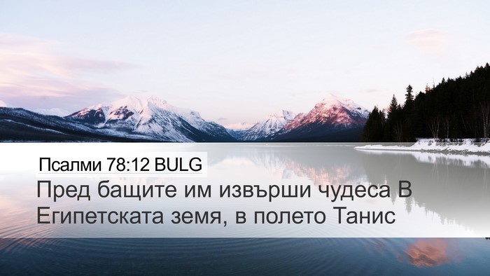 Псалми 78:12 BULG Bible Verse Image