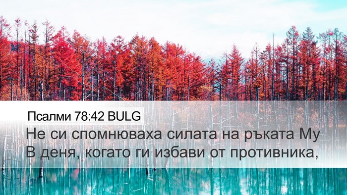 Псалми 78:42 BULG Bible Verse Image