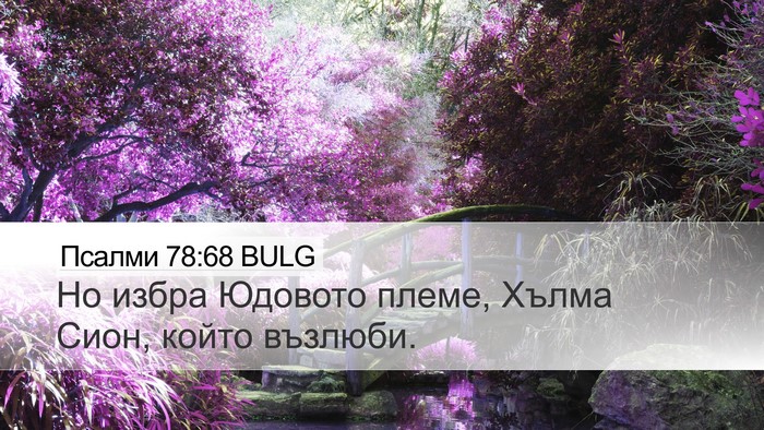 Псалми 78:68 BULG Bible Verse Image