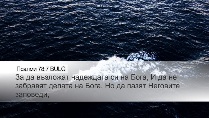 Псалми 78:7 BULG Desktop Wallpaper - За да възложат надеждата - Desktop Bible Verse Wallpaper