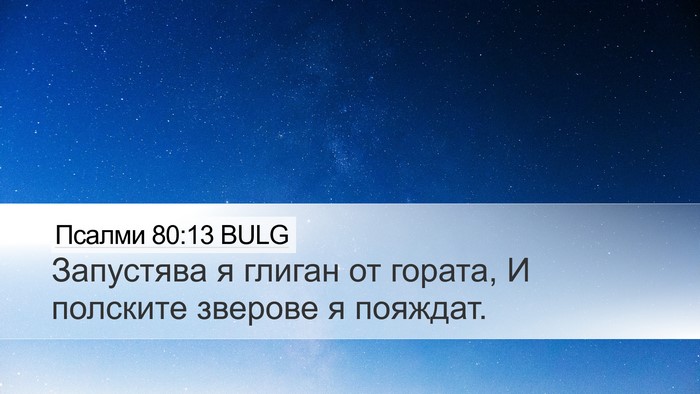 Псалми 80:13 BULG Desktop Wallpaper - Запустява я глиган от - Desktop Bible Verse Wallpaper