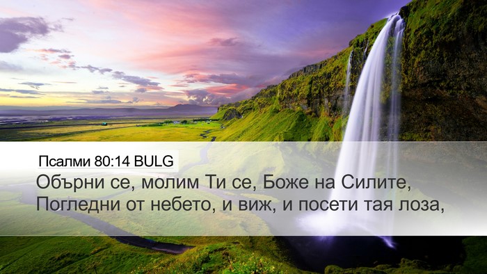 Псалми 80:14 BULG Bible Verse Image