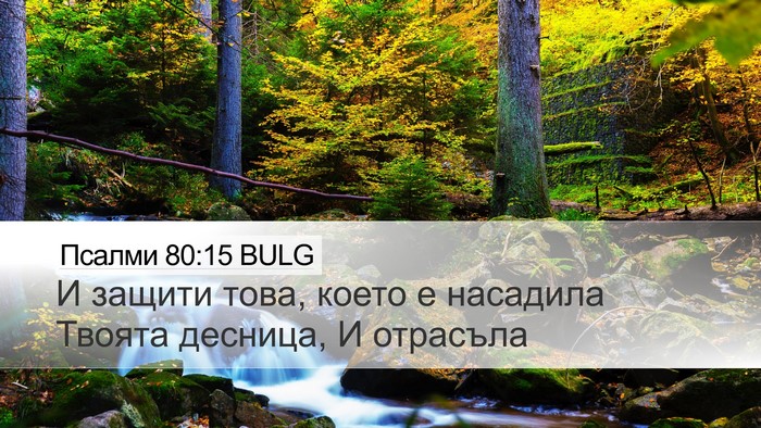 Псалми 80:15 BULG Bible Verse Image
