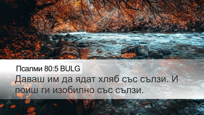 Псалми 80:5 BULG Bible Verse Image