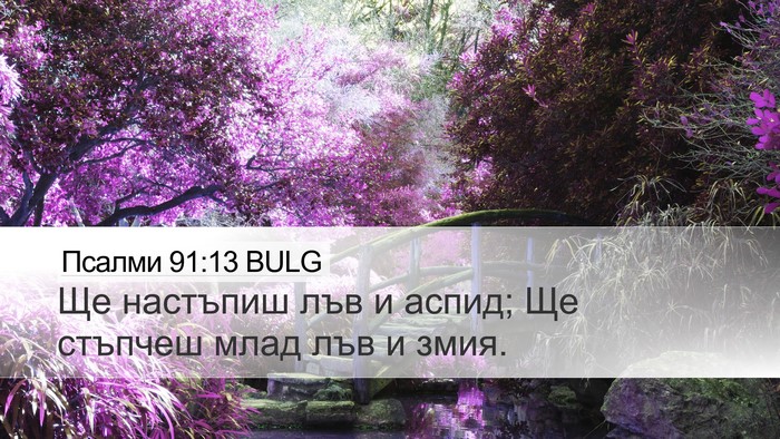 Псалми 91:13 BULG Bible Verse Image