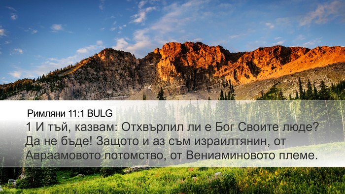 Римляни 11:1 BULG Bible Verse Image