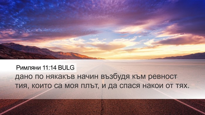 Римляни 11:14 BULG Bible Verse Image