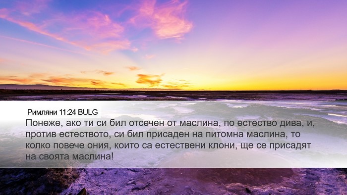 Римляни 11:24 BULG Bible Verse Image