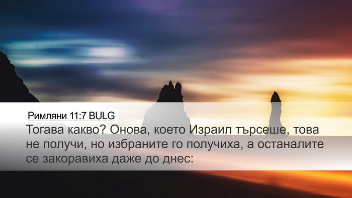 Римляни 11:7 BULG Bible Verse Image