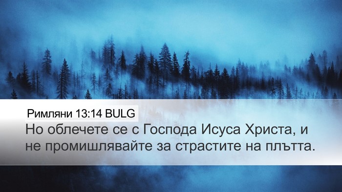 Римляни 13:14 BULG Bible Verse Image