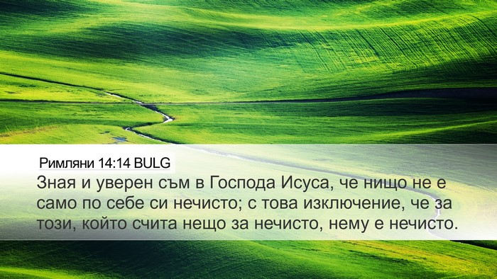 Римляни 14:14 BULG Bible Verse Image