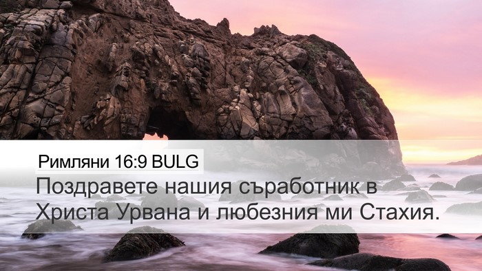 Римляни 16:9 BULG Bible Verse Image
