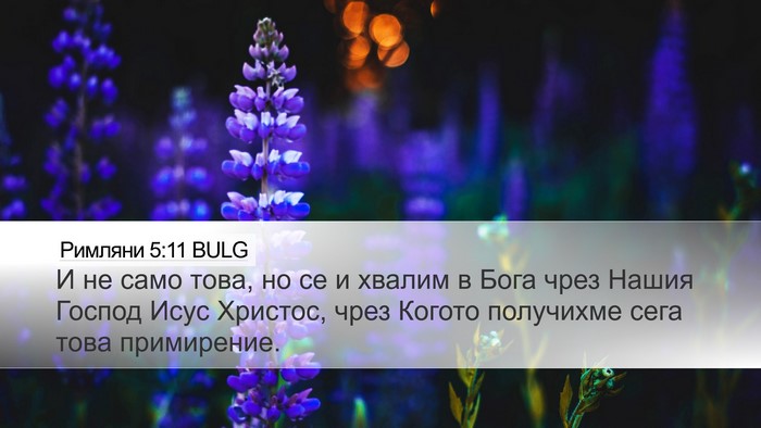 Римляни 5:11 BULG Bible Verse Image