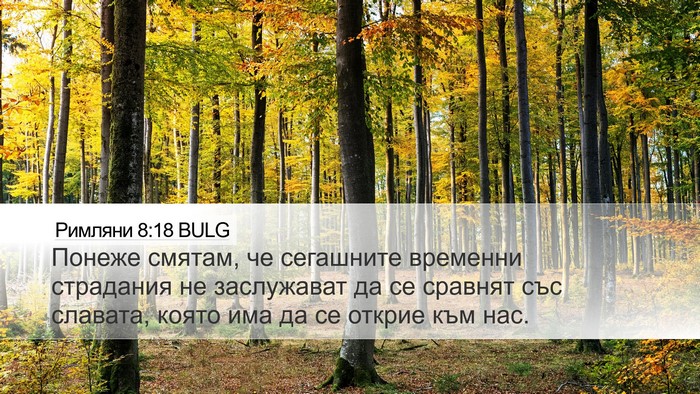 Римляни 8:18 BULG Bible Verse Image