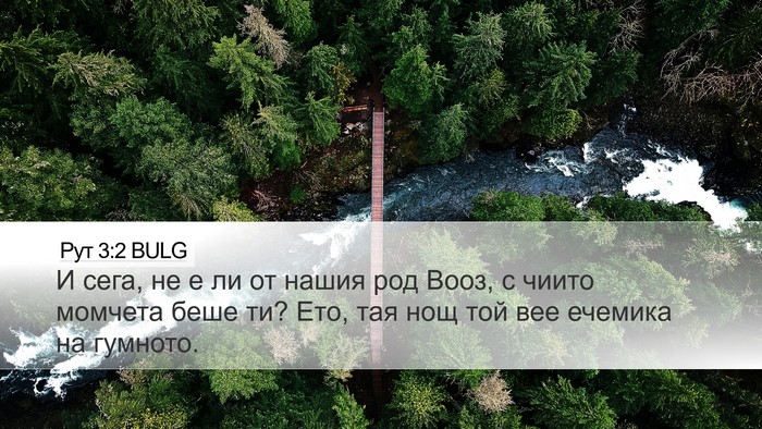 Рут 3:2 BULG Bible Verse Image