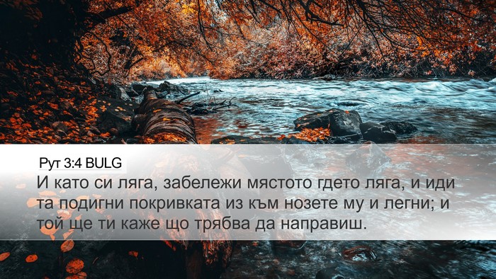 Рут 3:4 BULG Desktop Wallpaper - И като си ляга, забележи - Desktop Bible Verse Wallpaper