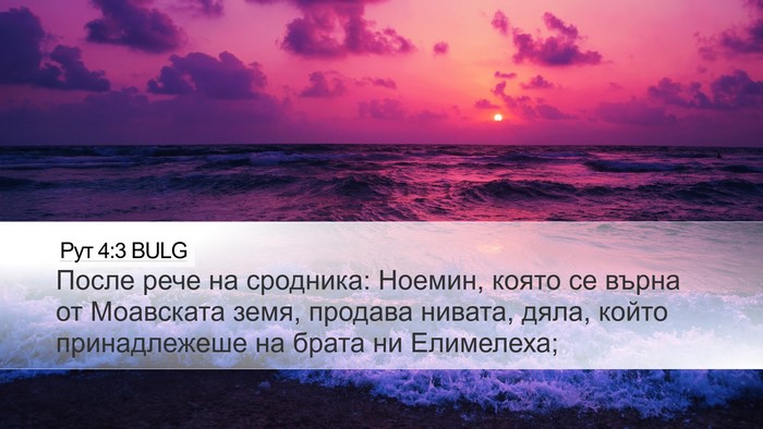 Рут 4:3 BULG Bible Verse Image