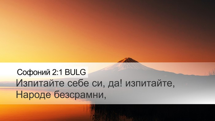 Софоний 2:1 BULG Bible Verse Image