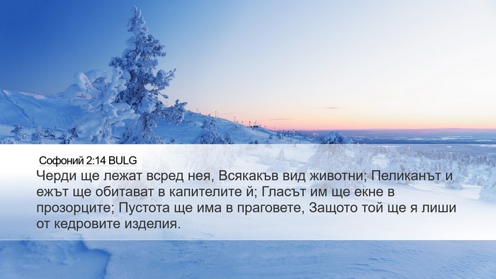 Софоний 2:14 BULG Bible Verse Image