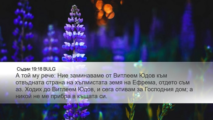 Съдии 19:18 BULG Bible Verse Image