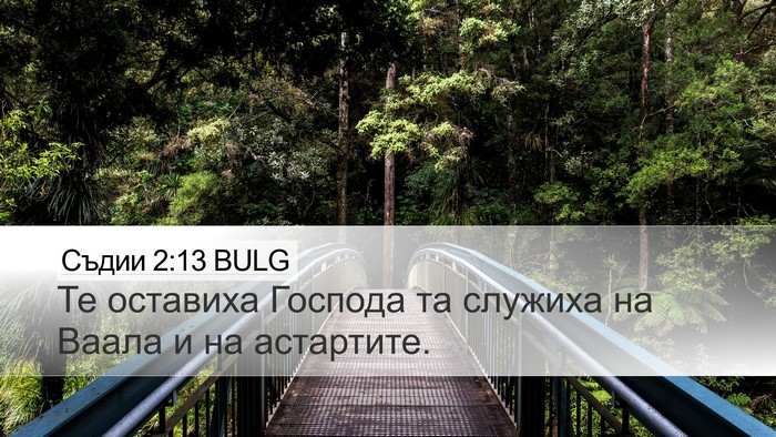 Съдии 2:13 BULG Bible Verse Image