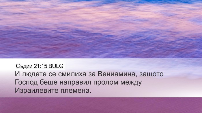 Съдии 21:15 BULG Bible Verse Image