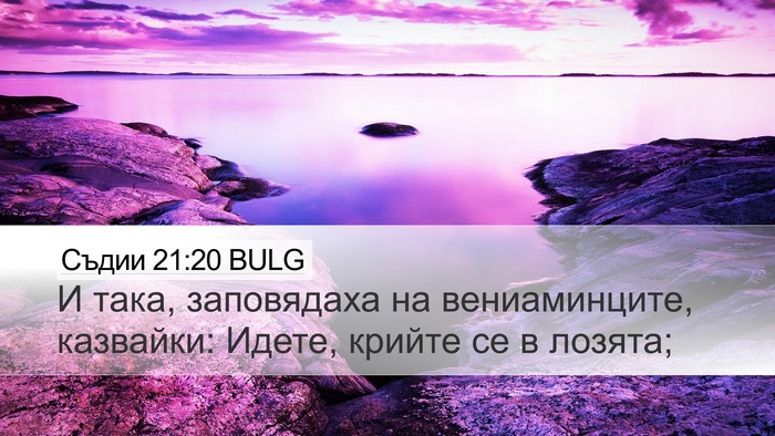 Съдии 21:20 BULG Desktop Wallpaper - И така, заповядаха на - Desktop Bible Verse Wallpaper