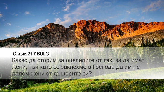 Съдии 21:7 BULG Desktop Wallpaper - Какво да сторим за - Desktop Bible Verse Wallpaper