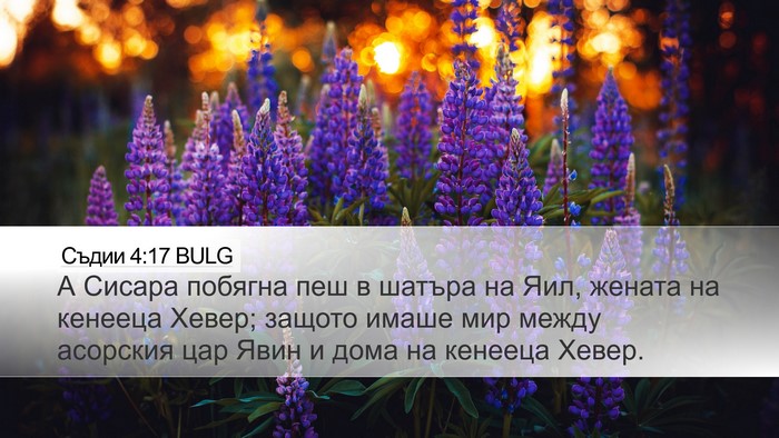 Съдии 4:17 BULG Bible Verse Image
