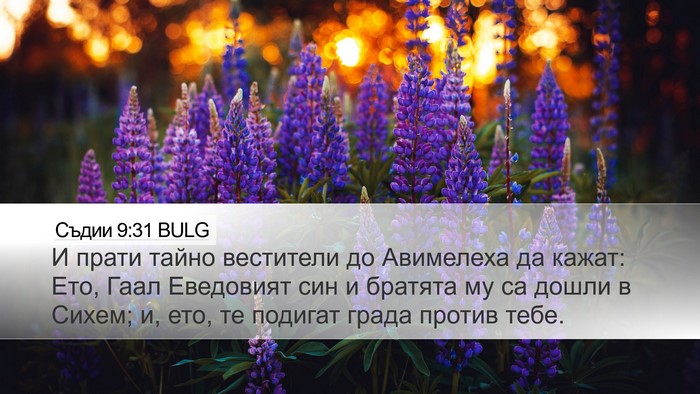 Съдии 9:31 BULG Desktop Wallpaper - И прати тайно вестители до - Desktop Bible Verse Wallpaper