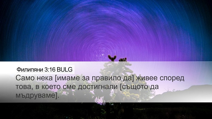 Филипяни 3:16 BULG Bible Verse Image