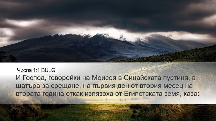 Числа 1:1 BULG Desktop Wallpaper - И Господ, говорейки на - Desktop Bible Verse Wallpaper