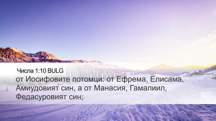 Числа 1:10 BULG Bible Verse Image