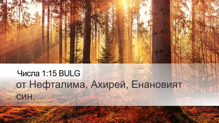 Числа 1:15 BULG Bible Verse Image