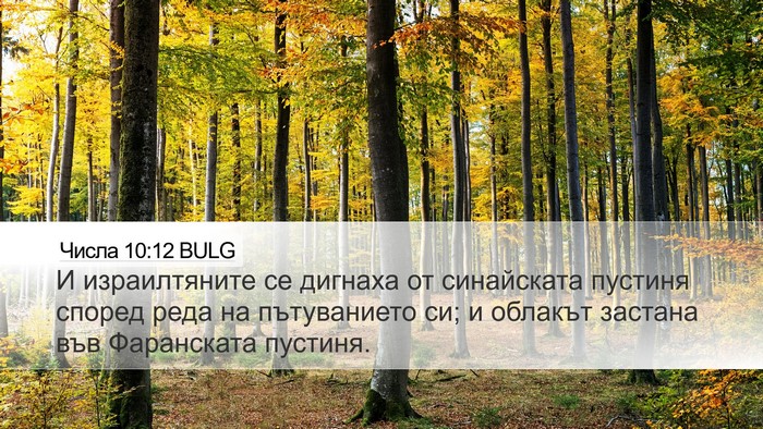 Числа 10:12 BULG Bible Verse Image