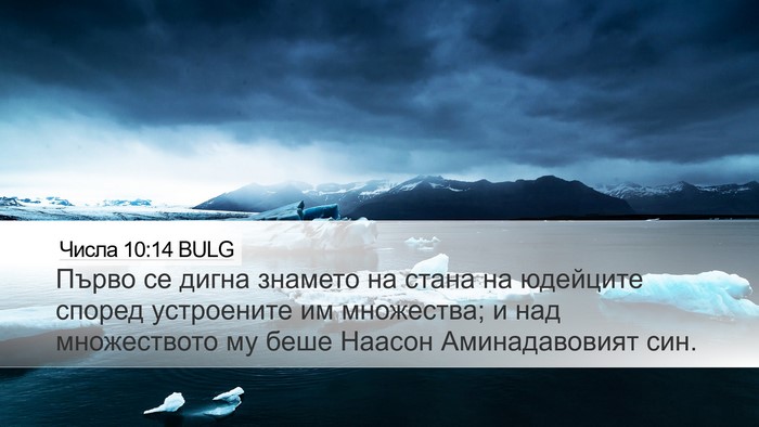 Числа 10:14 BULG Bible Verse Image