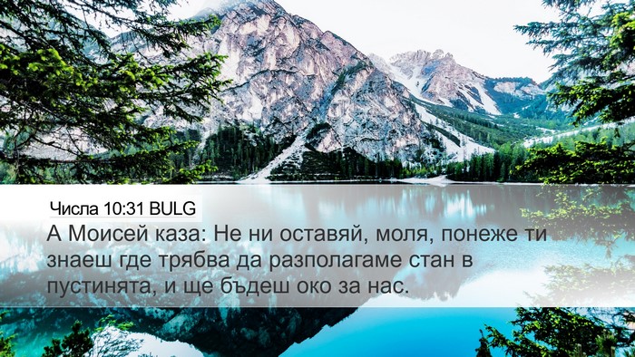 Числа 10:31 BULG Desktop Wallpaper - А Моисей каза: Не ни - Desktop Bible Verse Wallpaper