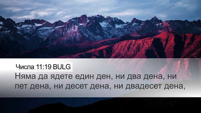 Числа 11:19 BULG Desktop Wallpaper - Няма да ядете един ден, ни - Desktop Bible Verse Wallpaper