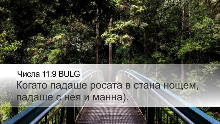 Числа 11:9 BULG Bible Verse Image