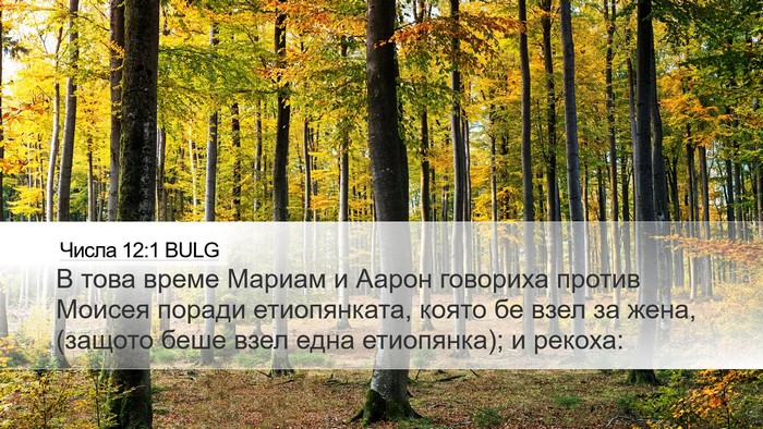 Числа 12:1 BULG Desktop Wallpaper - В това време Мариам и Аарон - Desktop Bible Verse Wallpaper