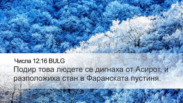 Числа 12:16 BULG Bible Verse Image