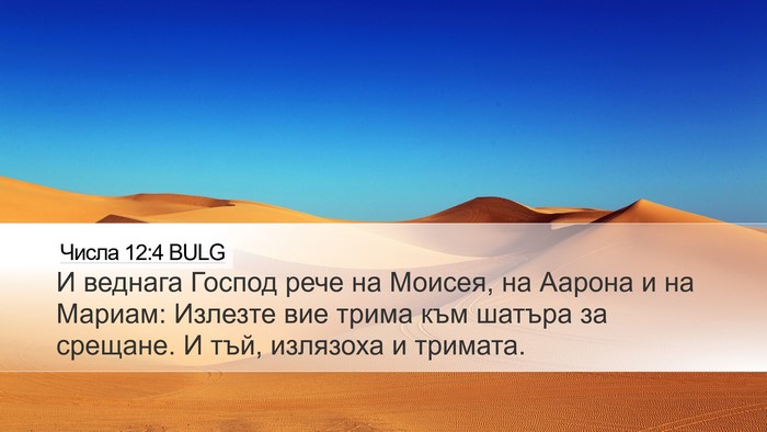 Числа 12:4 BULG Desktop Wallpaper - И веднага Господ рече на - Desktop Bible Verse Wallpaper