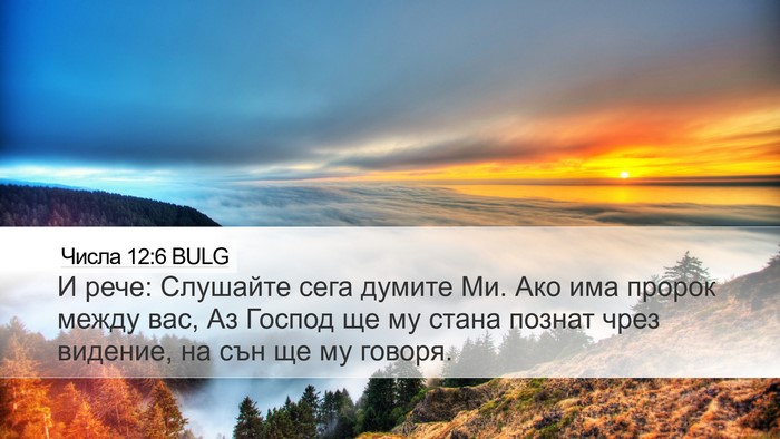 Числа 12:6 BULG Bible Verse Image