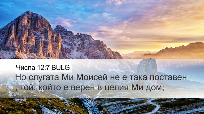 Числа 12:7 BULG Bible Verse Image